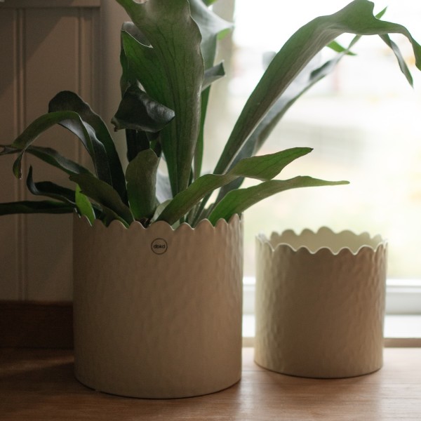 Kleiner Topf Calla - Creme