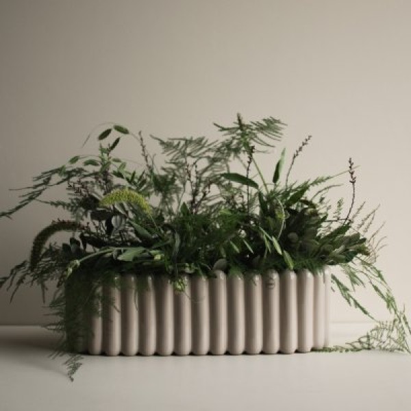 Biskuit Schale groß - shiny mole