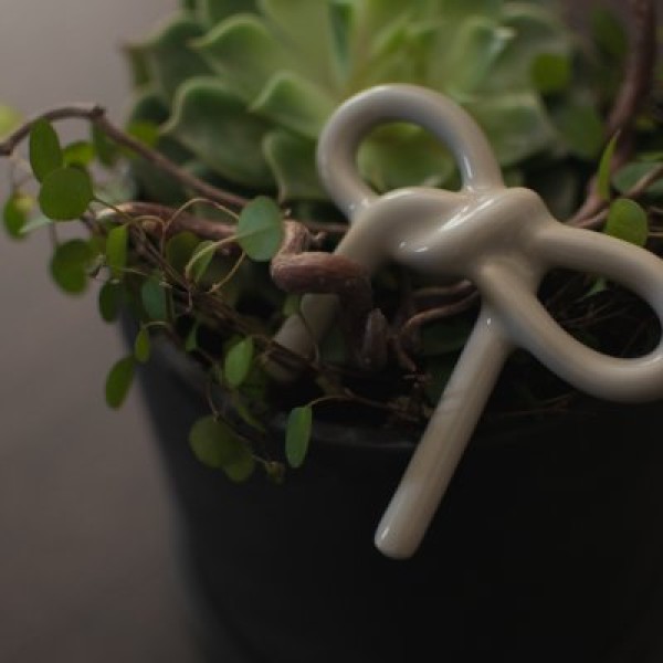 Stecker Schleife - Greige